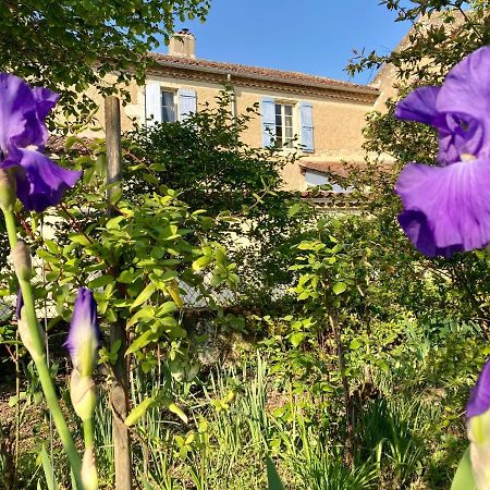 Le Petit Cochon Bed & Breakfast Valence-sur-Baise Luaran gambar