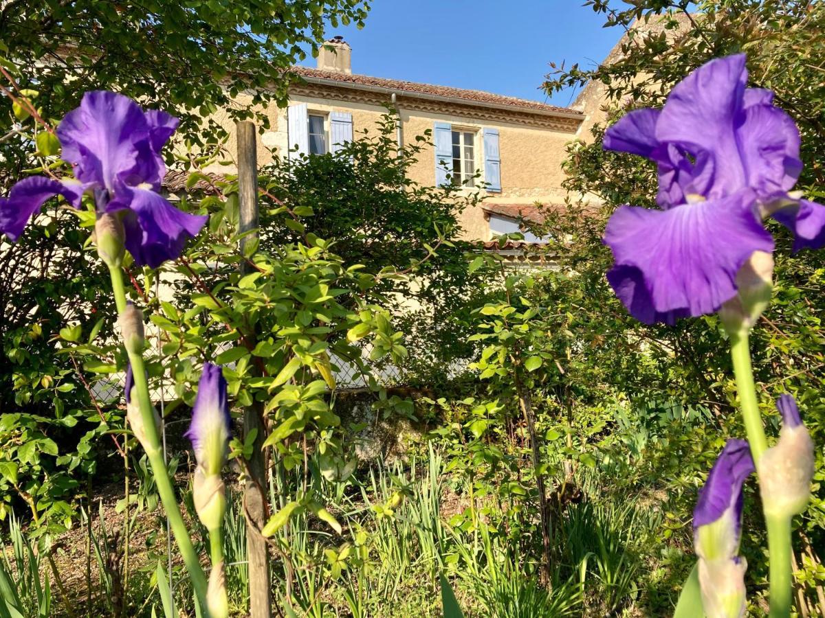 Le Petit Cochon Bed & Breakfast Valence-sur-Baise Luaran gambar