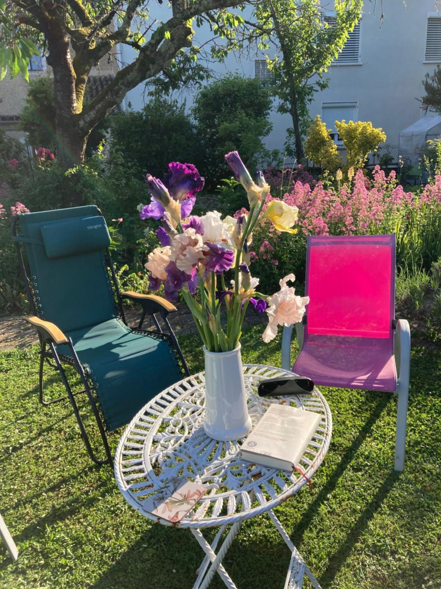 Le Petit Cochon Bed & Breakfast Valence-sur-Baise Luaran gambar