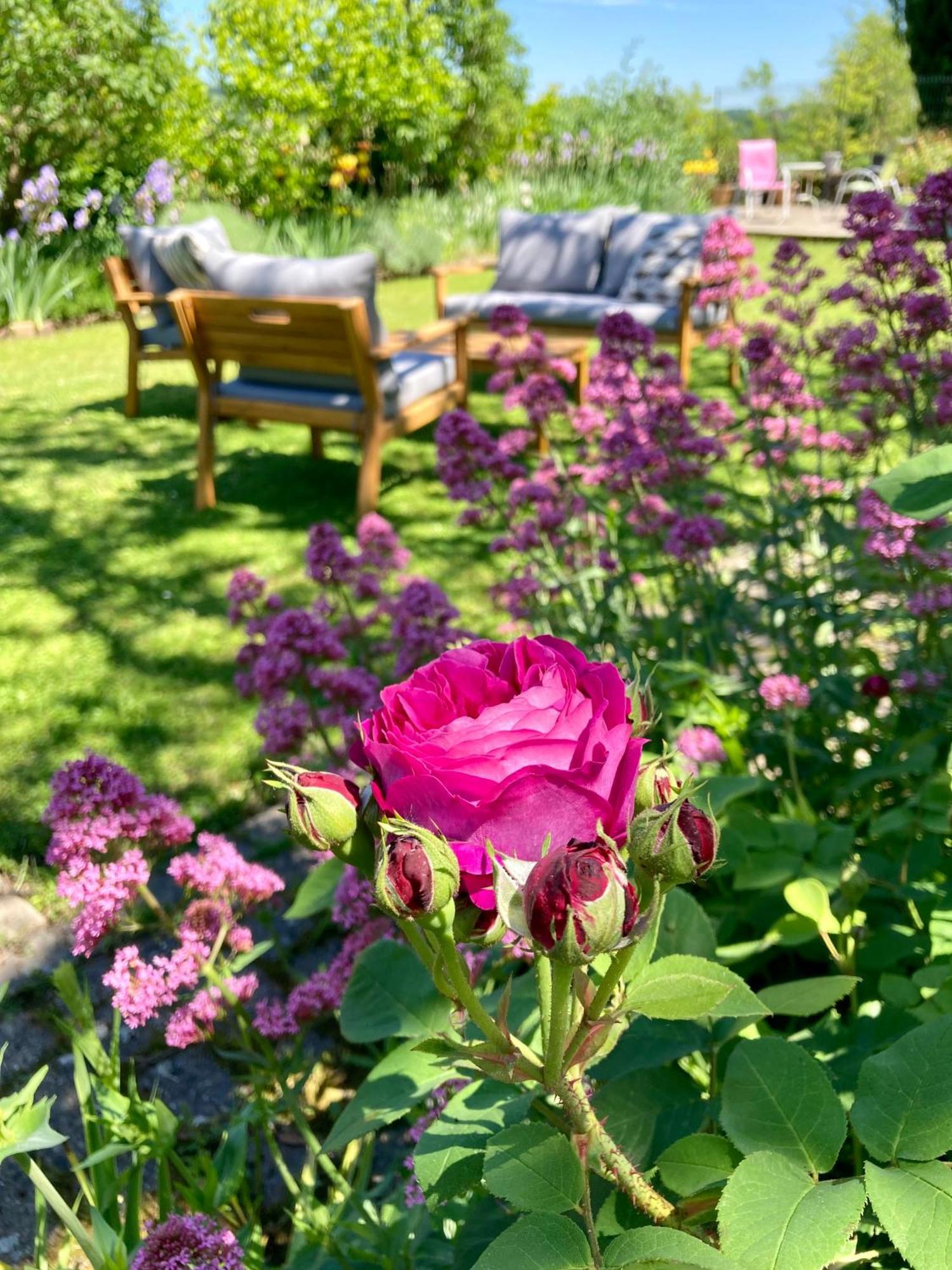 Le Petit Cochon Bed & Breakfast Valence-sur-Baise Luaran gambar